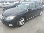 2010 Lexus Es 350 for Sale in Cahokia Heights, IL - Hail