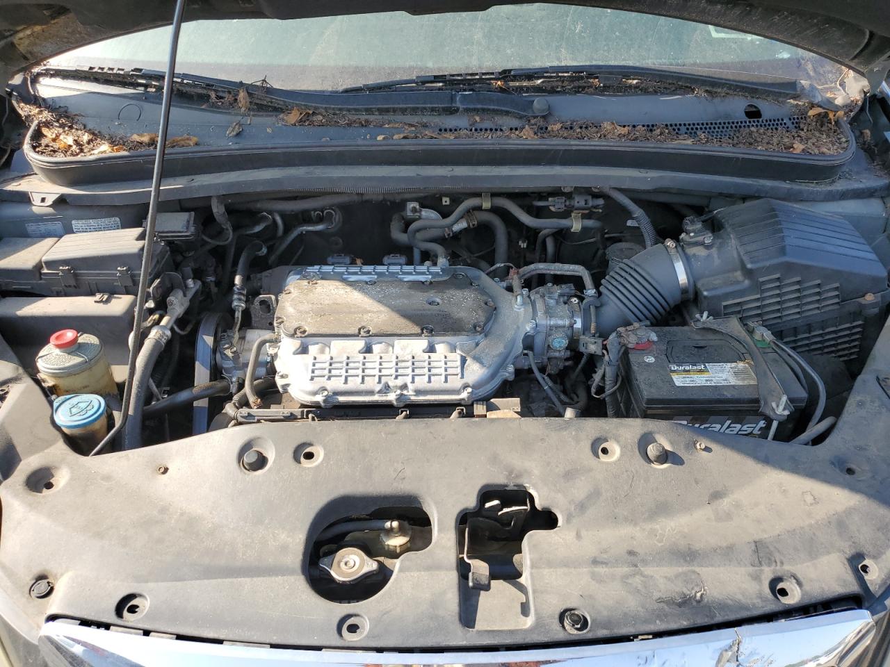 2007 Honda Odyssey Ex VIN: 5FNRL38477B426173 Lot: 61929705