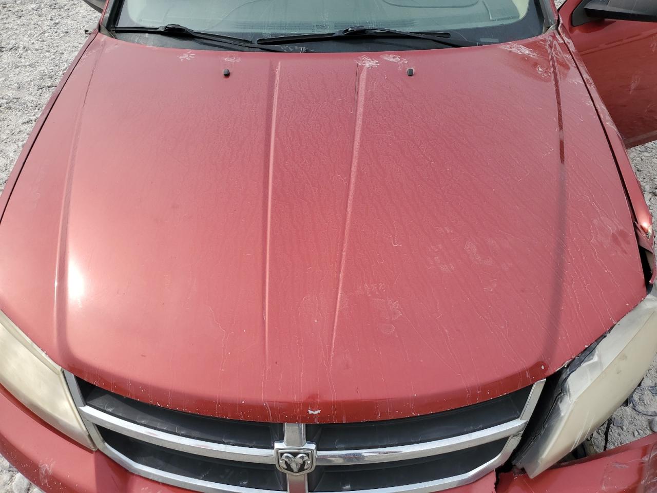 2008 Dodge Avenger Sxt VIN: 1B3LC56K78N263046 Lot: 62885805