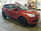 2016 Ford Escape Se   للبيع في Avon، MN - Side