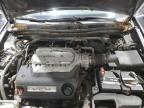 2009 Honda Accord Exl за продажба в Candia, NH - Minor Dent/Scratches