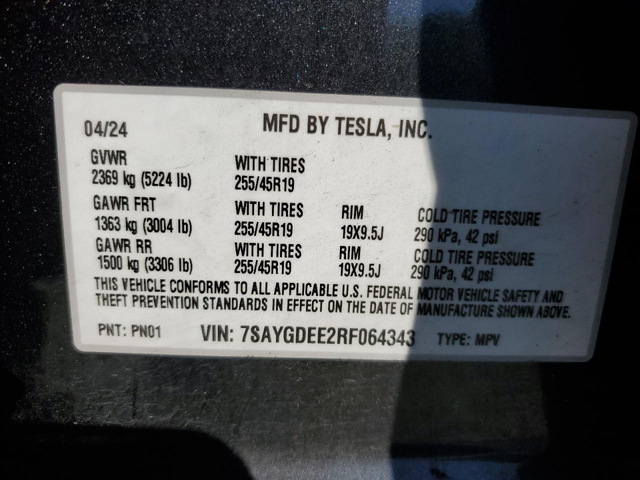 2024 Tesla Model Y VIN: 7SAYGDEE2RF064343 Lot: 62537265