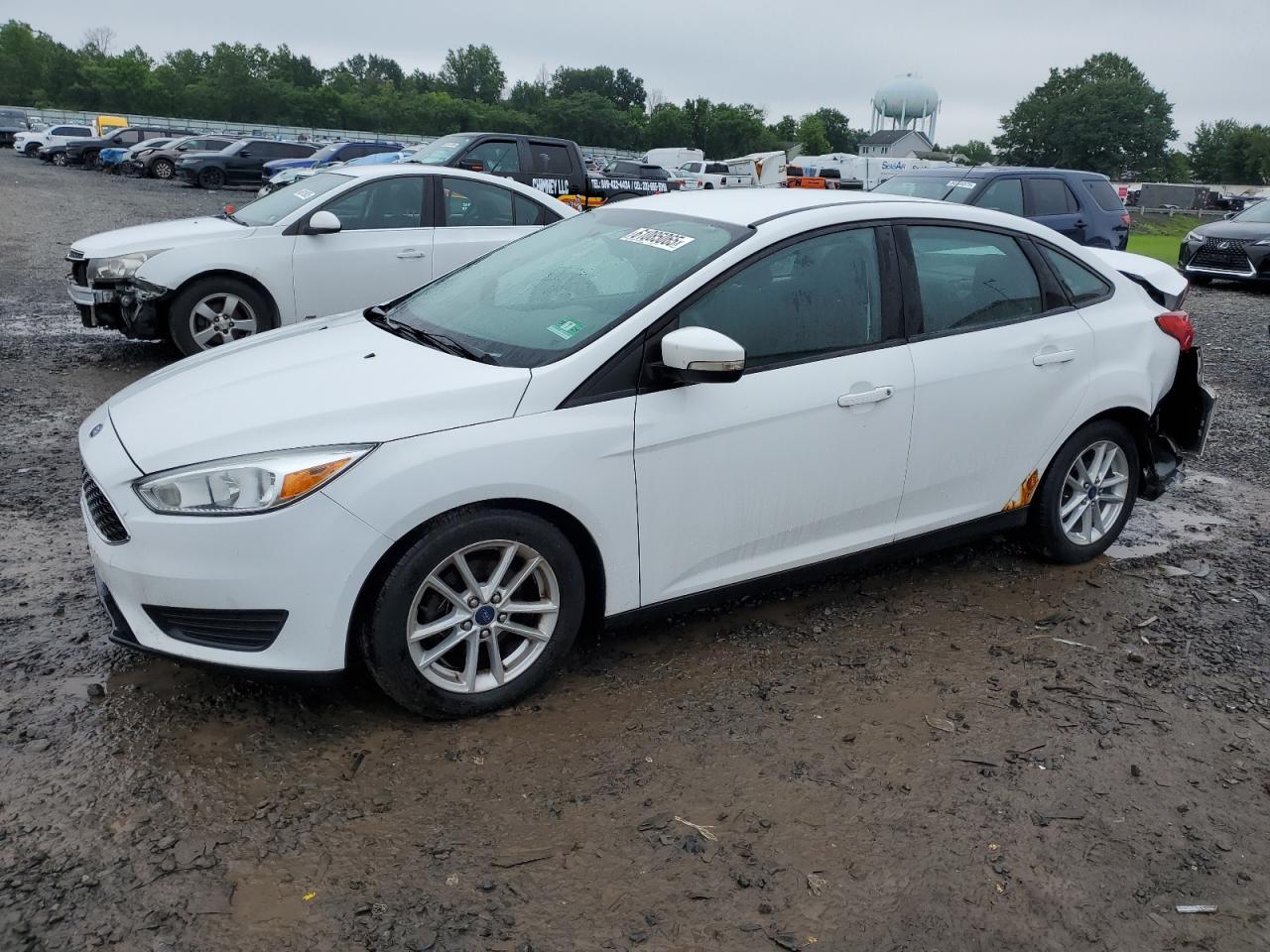Hillsborough, NJ에서 판매 중인 2016 Ford Focus Se - Rear End