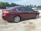 Hampton, VA에서 판매 중인 2013 Honda Accord Ex   - Front End