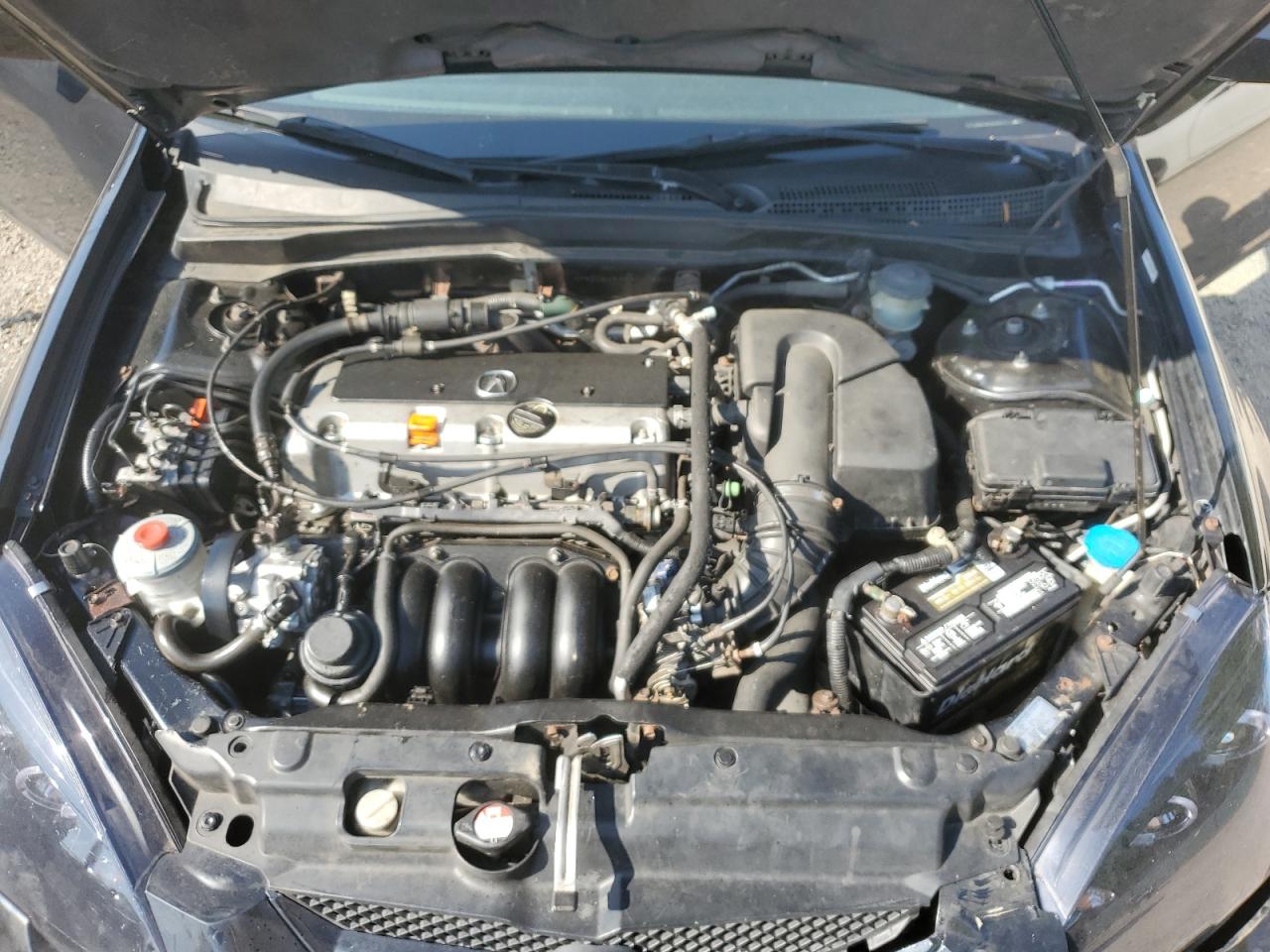2004 Acura Rsx VIN: JH4DC54834S009631 Lot: 62095675