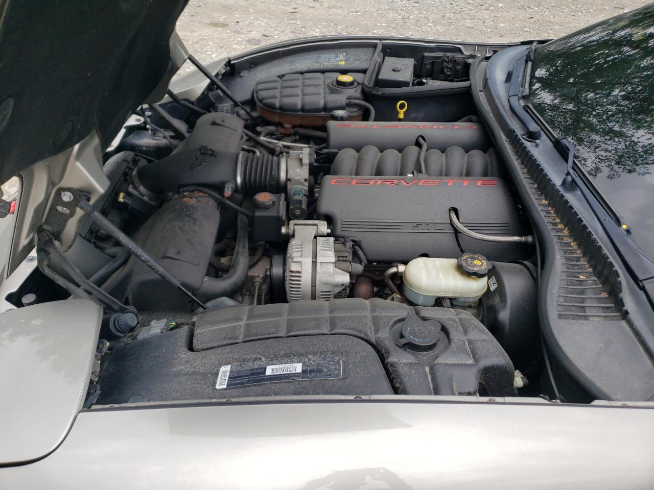2000 Chevrolet Corvette VIN: 1G1YY32G7Y5103138 Lot: 60211655