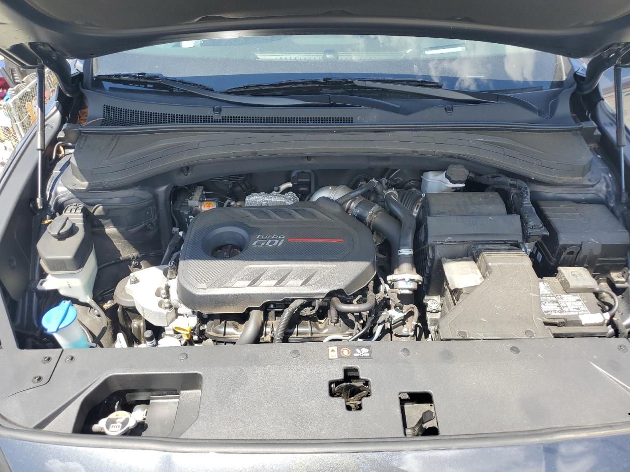 2020 Hyundai Santa Fe Limited VIN: 5NMS53AA9LH255494 Lot: 61452575