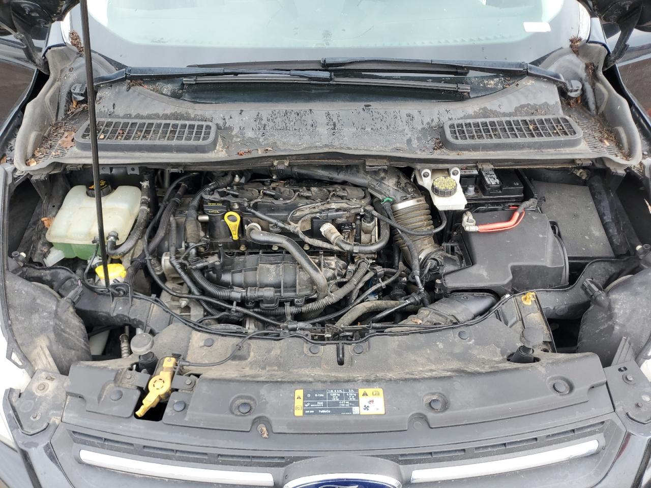 2014 Ford Escape Se VIN: 1FMCU0GX9EUC02903 Lot: 61450965