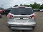 2013 FORD ESCAPE SE   for sale at Copart CT - HARTFORD SPRINGFIELD