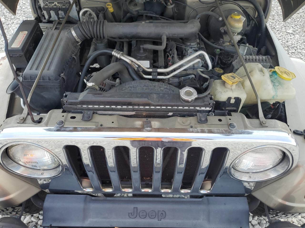 2003 Jeep Wrangler / Tj Sahara VIN: 1J4FA59S53P369077 Lot: 61445025