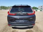 2019 HONDA CR-V EX   à vendre chez Copart ON - COOKSTOWN