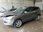 2013 Ford Escape Sel للبيع في Franklin، WI - Front End