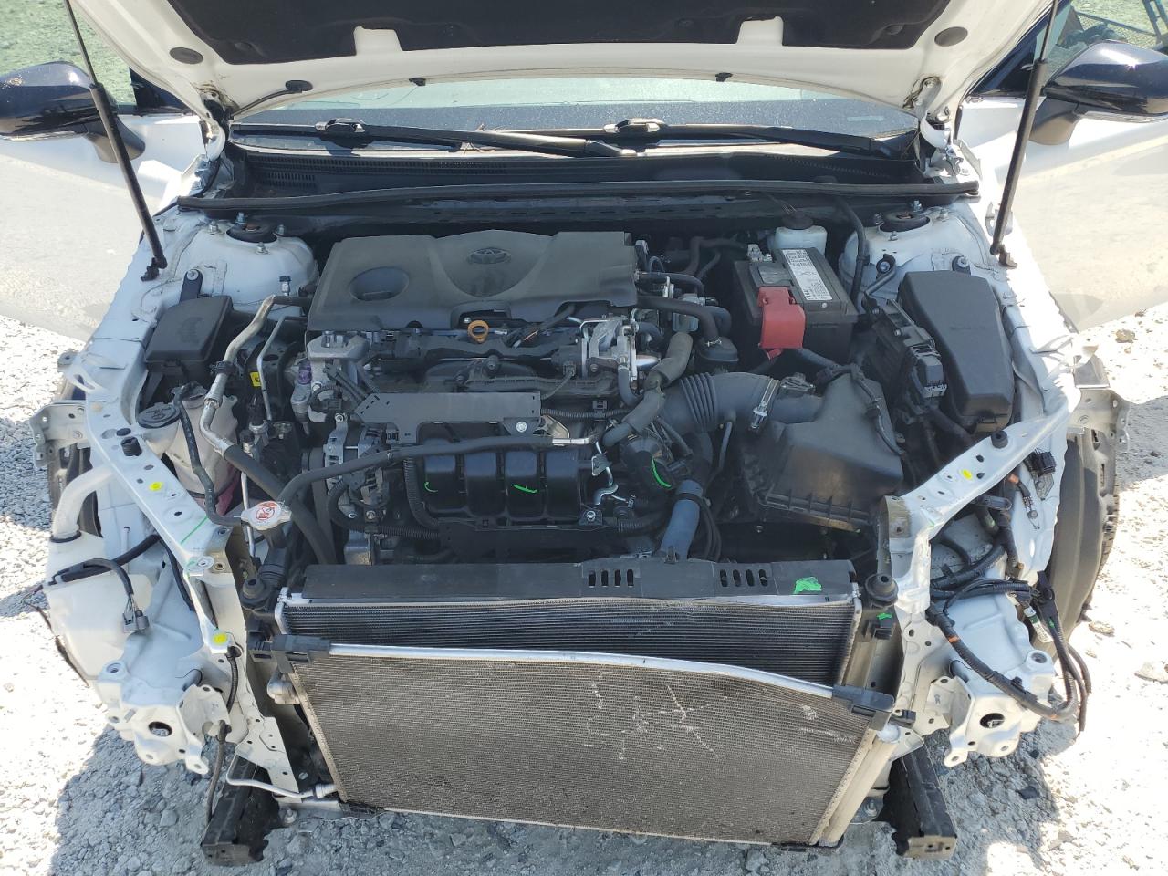2019 Toyota Camry Xse VIN: 4T1B61HK5KU231275 Lot: 62568365