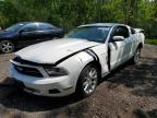 2011 FORD MUSTANG    à vendre chez Copart ON - COOKSTOWN