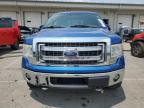 2013 Ford F150 Supercrew zu verkaufen in Louisville, KY - Mechanical