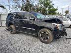 2017 Cadillac Escalade Premium Luxury zu verkaufen in Riverview, FL - All Over