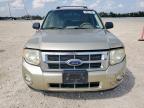 2012 Ford Escape Xlt for Sale in New Braunfels, TX - Side