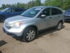 2009 HONDA CR-V EX   à vendre chez Copart ON - COOKSTOWN