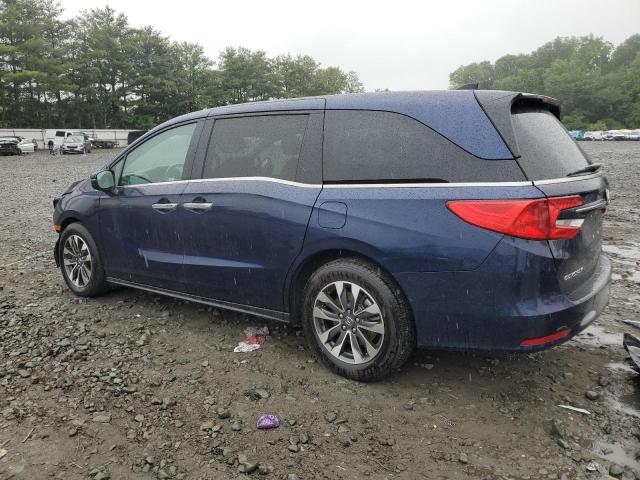 HONDA All Models 2023 Синий