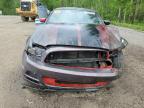 2013 FORD MUSTANG    for sale at Copart ON - COOKSTOWN