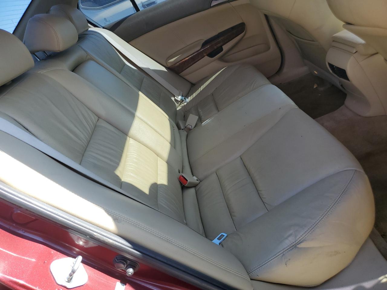 2010 Honda Accord Exl VIN: 1HGCP2F81AA159446 Lot: 61570065