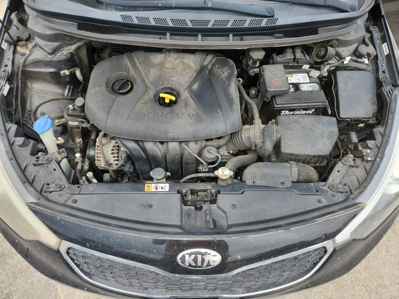 2014 Kia Forte Lx VIN: KNAFK4A63E5239502 Lot: 62671915