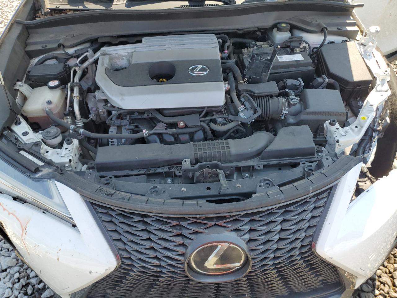2019 Lexus Ux 200 VIN: JTHY3JBH3K2019425 Lot: 60062405
