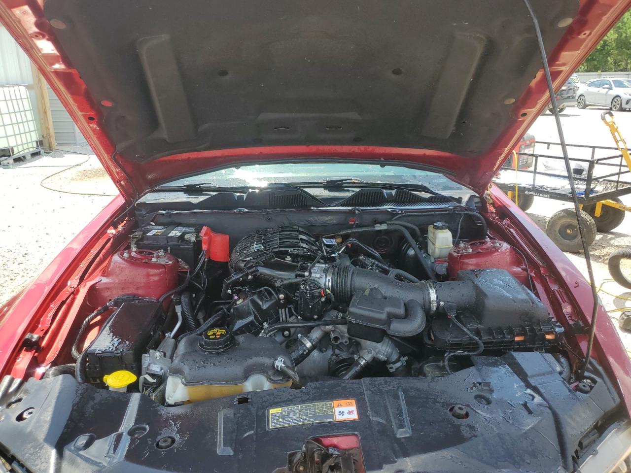 2014 Ford Mustang VIN: 1ZVBP8AM3E5325320 Lot: 61002985