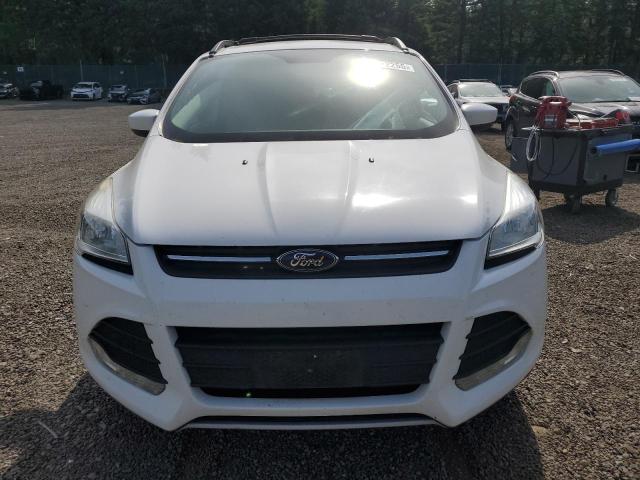  FORD ESCAPE 2015 White