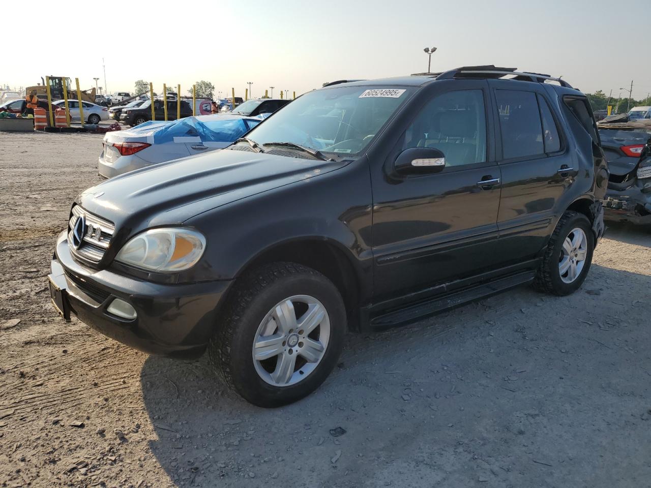 2005 Mercedes-Benz Ml 500 за продажба в Indianapolis, IN - Rear End