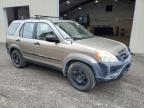 2006 Honda Cr-V Lx zu verkaufen in Center Rutland, VT - Rear End