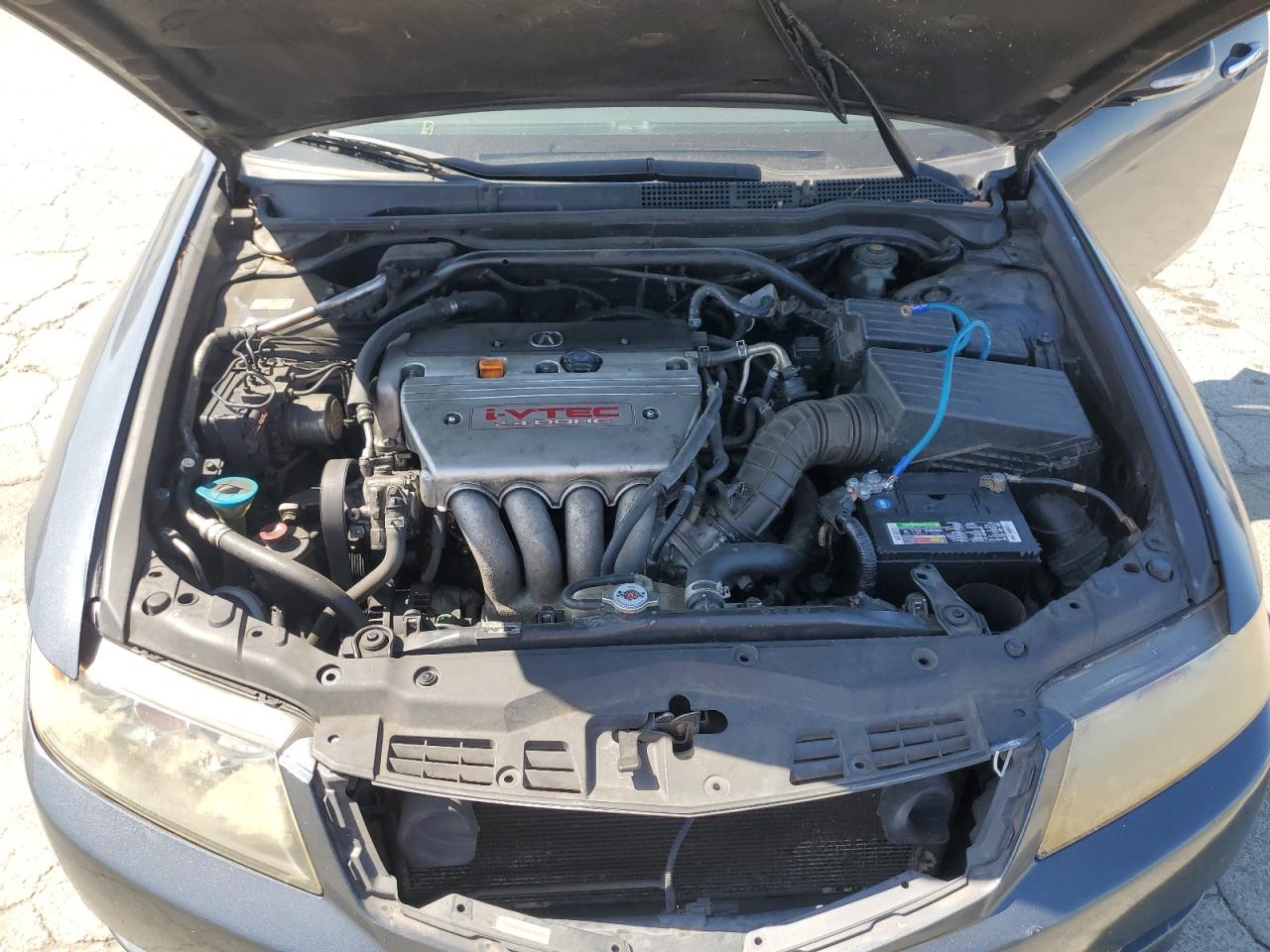 2006 Acura Tsx VIN: JH4CL96826C019550 Lot: 61312725