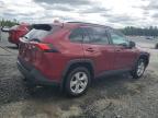 2020 TOYOTA RAV4 LE   for sale at Copart NS - HALIFAX