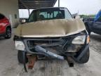 2000 Ford F150  for Sale in Homestead, FL - Front End