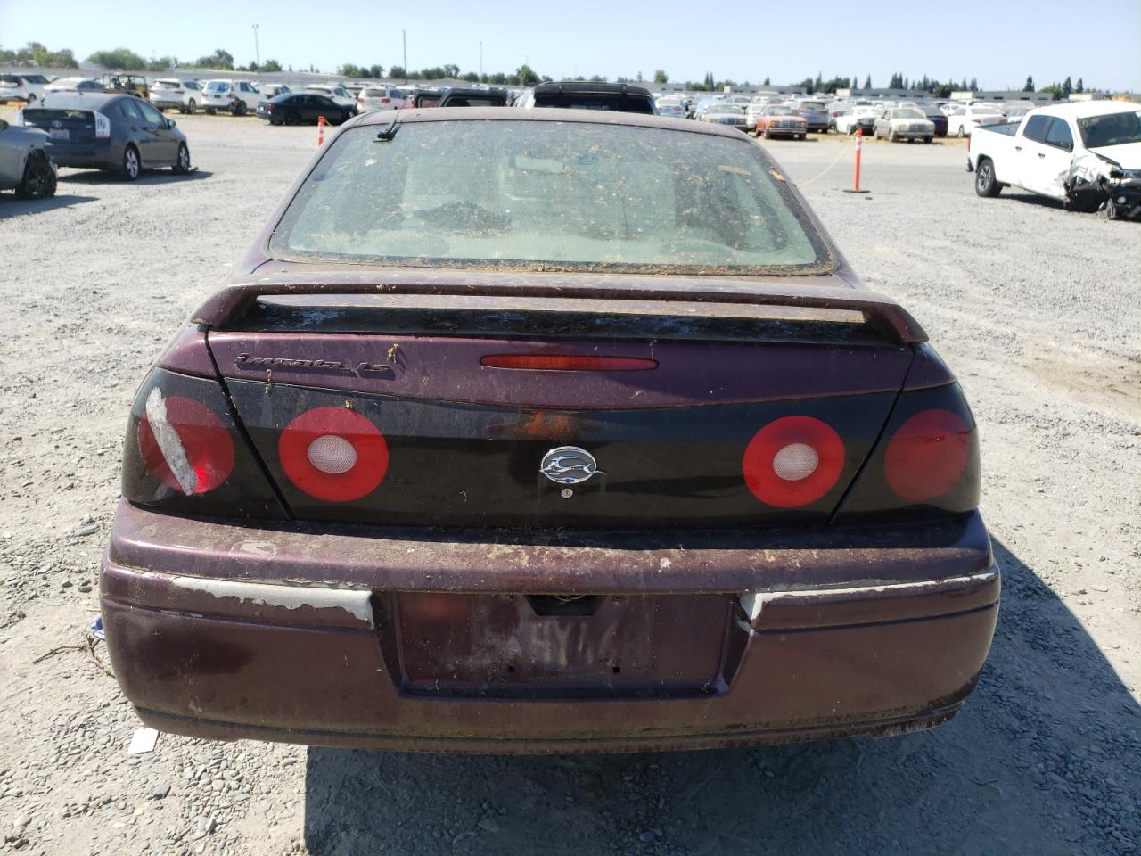 2004 Chevrolet Impala Ls VIN: 2G1WH55K649258411 Lot: 62165475