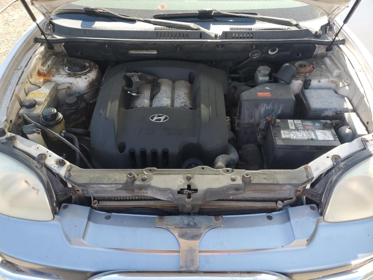 2004 Hyundai Santa Fe VIN: KM8SB73D14U751693 Lot: 62172415