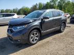 2019 HONDA CR-V EX   à vendre chez Copart ON - COOKSTOWN