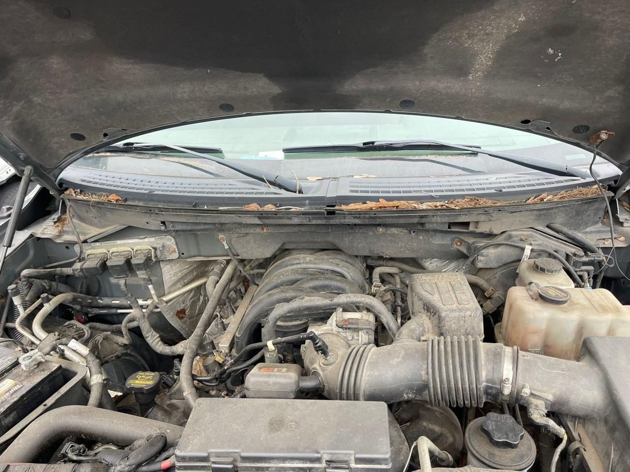 FORD F-150 2010 VIN 1FTEW1E8XAFA29285 photo 7