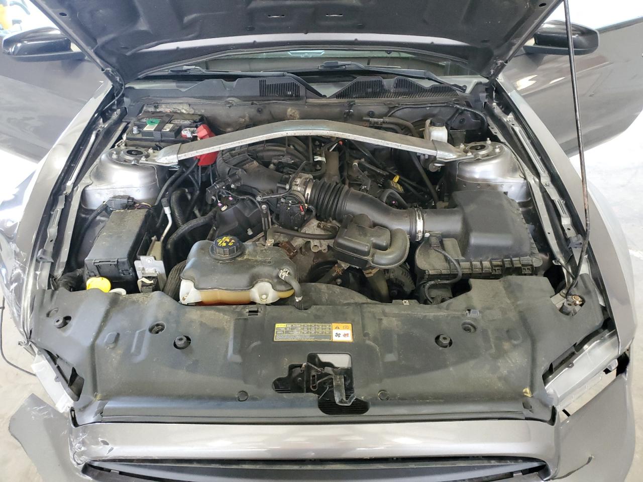 2014 Ford Mustang VIN: 1ZVBP8AM9E5202508 Lot: 63025315