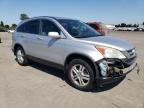 2010 Honda Cr-V Exl للبيع في Woodburn، OR - Front End