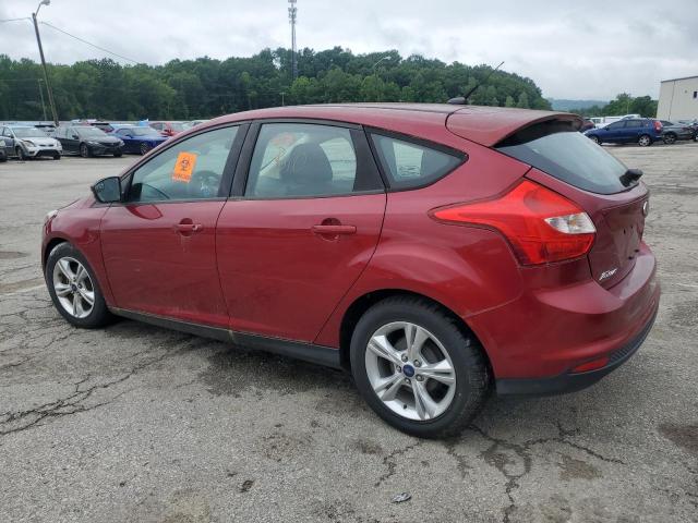  FORD FOCUS 2014 Maroon