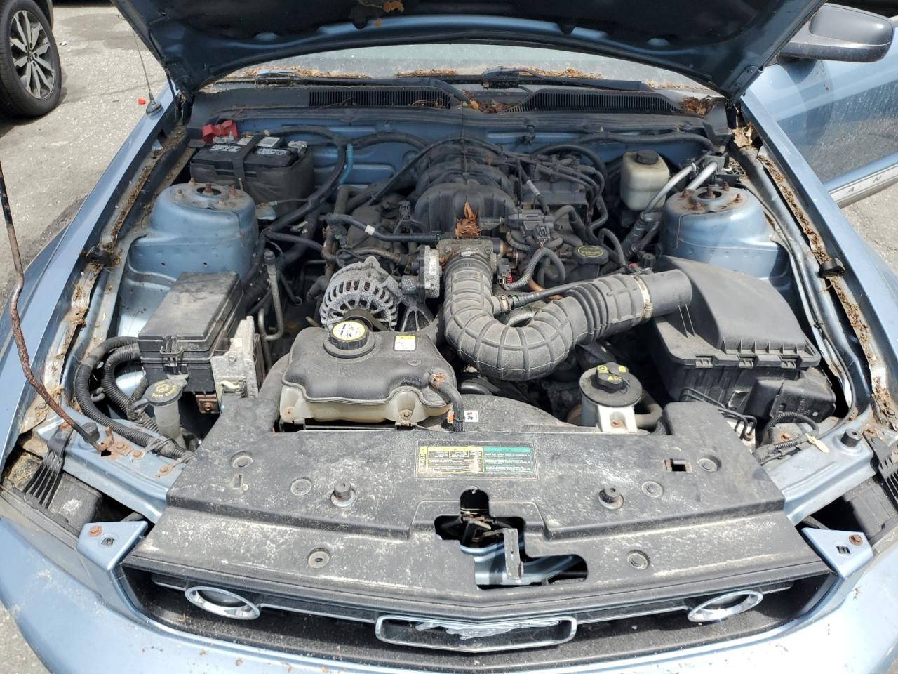 2007 Ford Mustang VIN: 1ZVFT80N675366664 Lot: 62535805