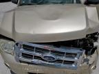 2010 FORD ESCAPE XLT for sale at Copart TX - FT. WORTH