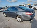 2008 TOYOTA CAMRY HYBRID à vendre chez Copart TX - DALLAS