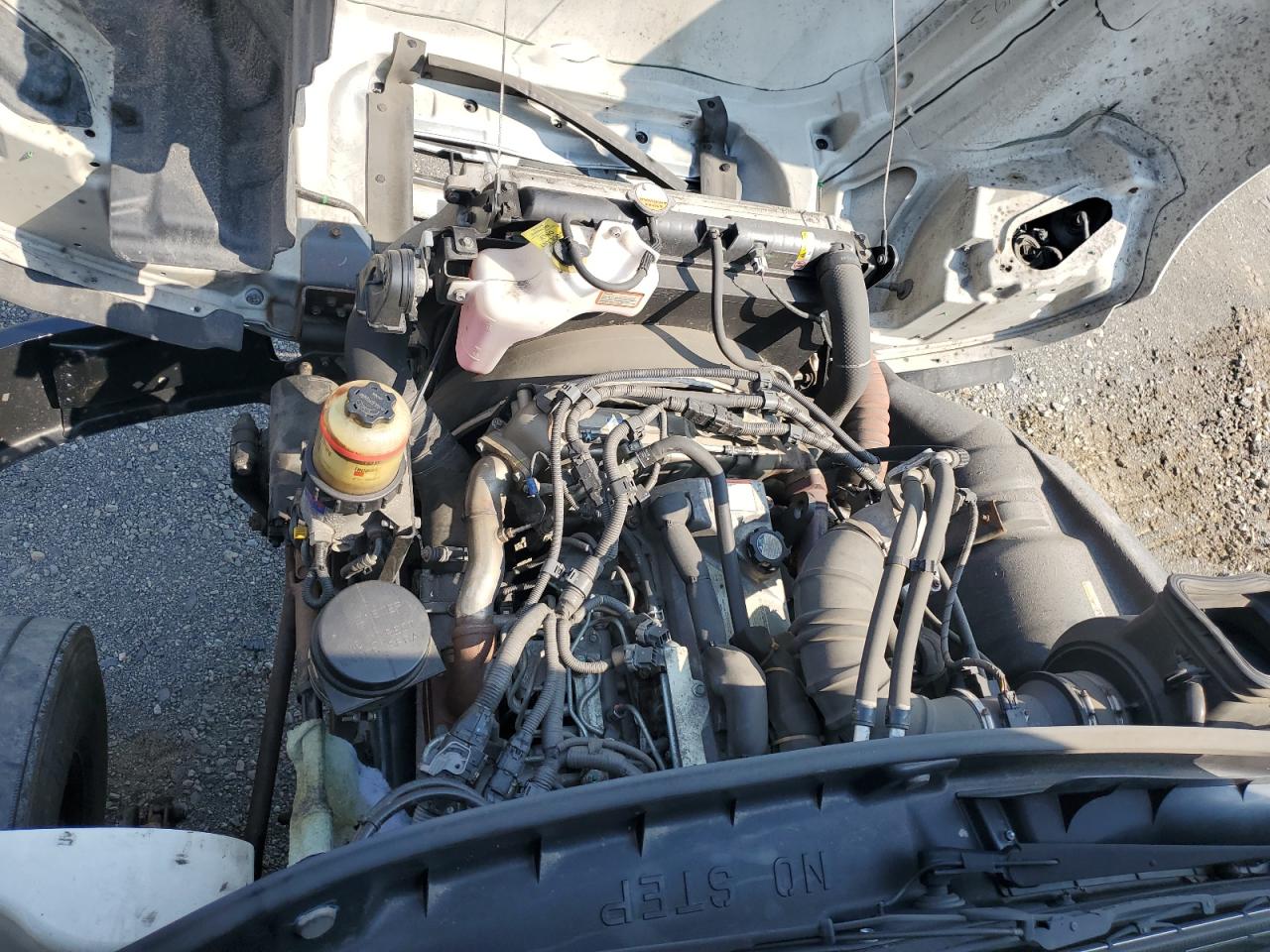 HINO ALL MODELS 2020 VIN 5PVNJ8JV1L4S75191 фото 11