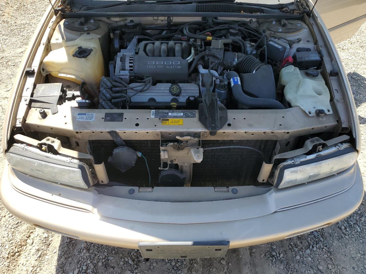 1995 Buick Regal Custom VIN: 2G4WB52L5S1416282 Lot: 61954875