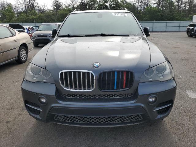  BMW X5 2013 Gray