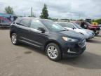2019 Ford Edge Sel за продажба в Ham Lake, MN - Hail