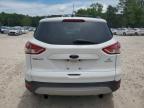 2013 Ford Escape Se for Sale in Knightdale, NC - Mechanical