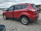 2017 Ford Escape Se for Sale in Prairie Grove, AR - Hail
